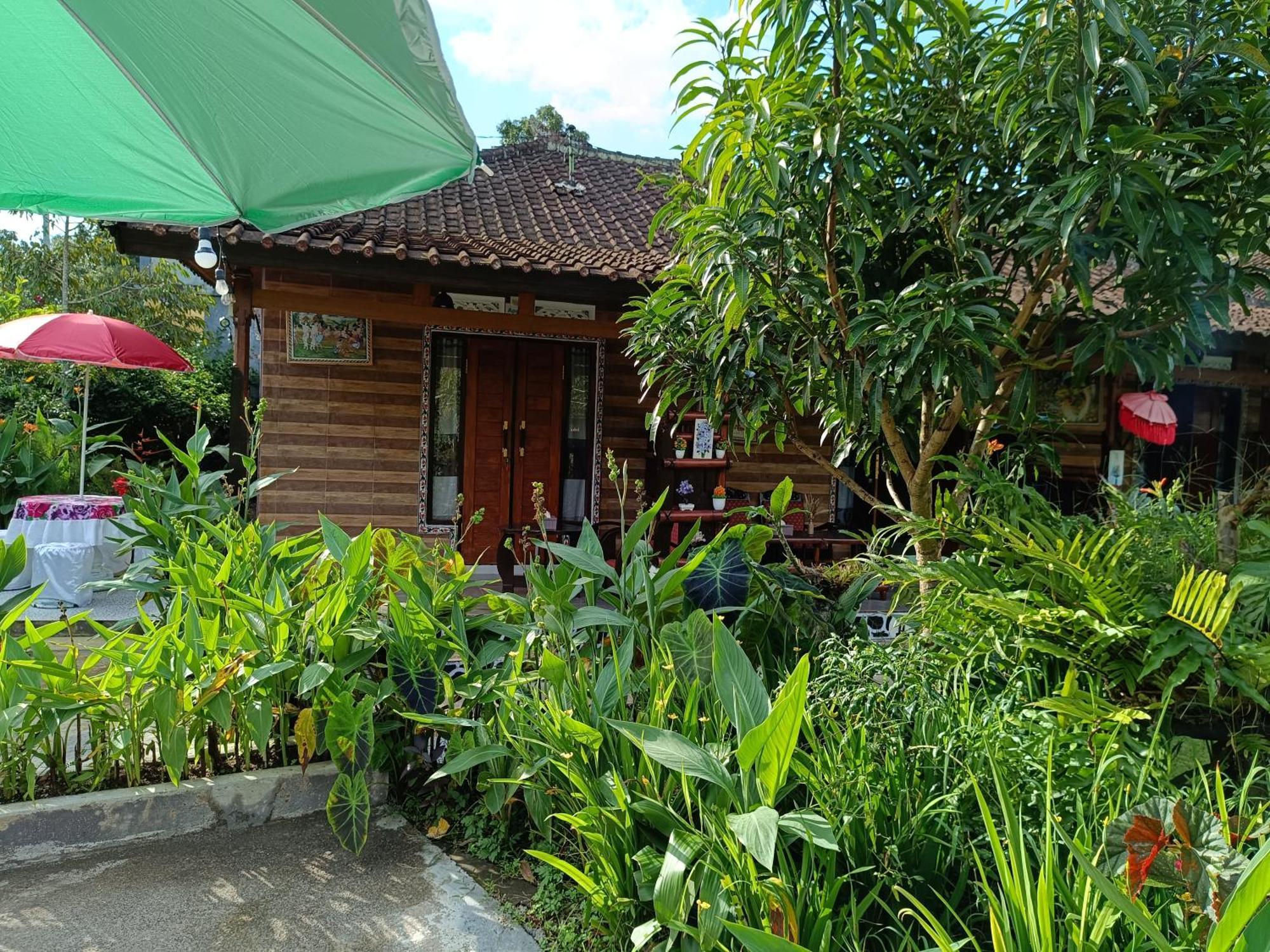 Gosela Bali Lägenhet Munduk Exteriör bild