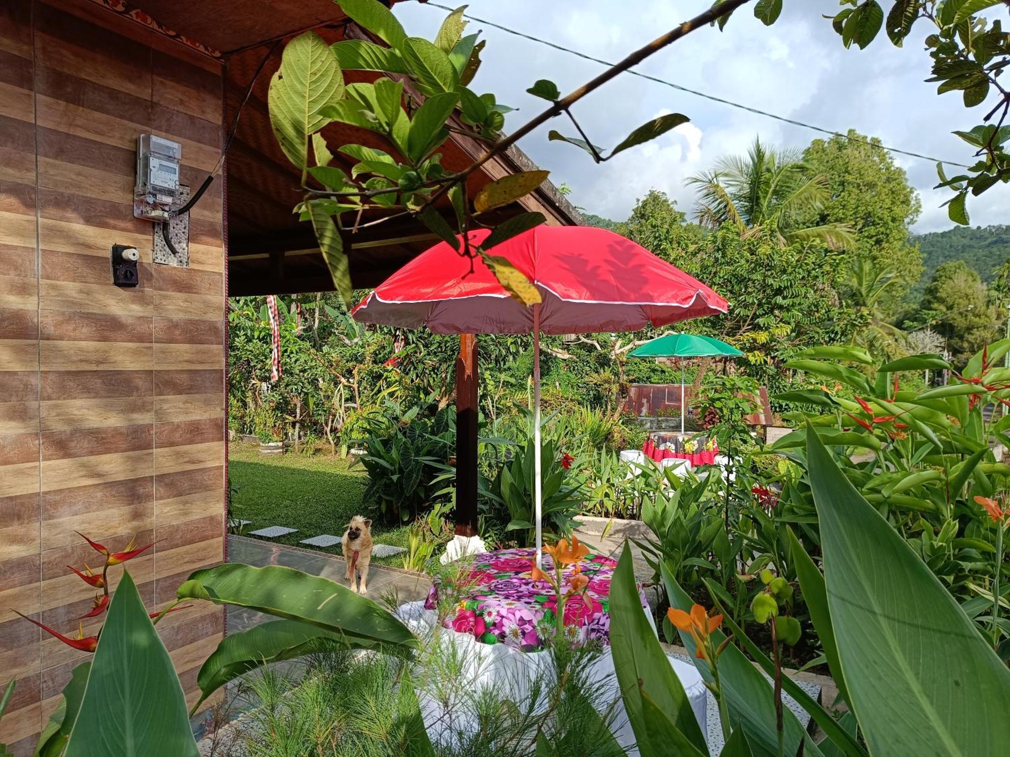 Gosela Bali Lägenhet Munduk Exteriör bild
